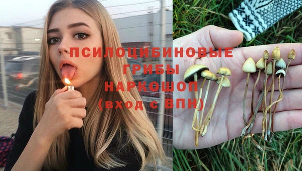 каннабис Гусев