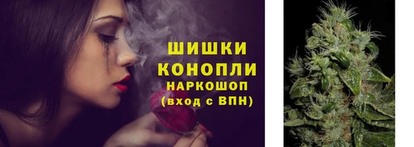 стафф Гусиноозёрск