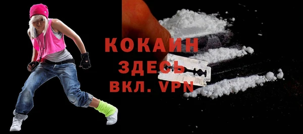 гидропоника Горняк