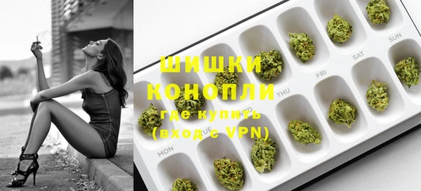 гидропоника Горняк