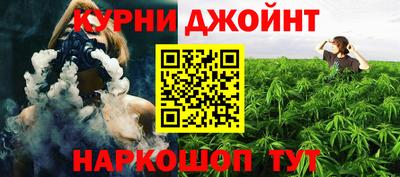 гидропоника Камышлов