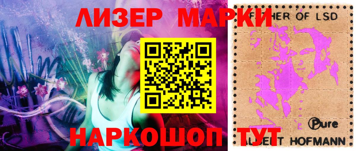 МЕФ Донецк