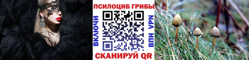 купить наркоту  Донецк  Псилоцибиновые грибы Psilocybe 