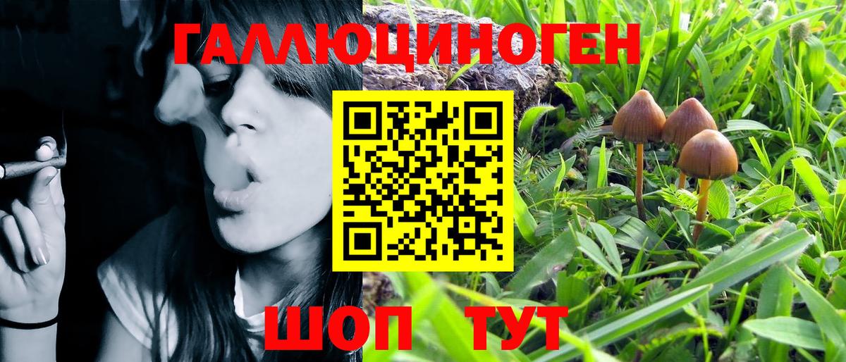 Донецк  Галлюциногенные грибы MAGIC MUSHROOMS  Вход с VPN  Галлюциногенные грибы MAGIC MUSHROOMS 