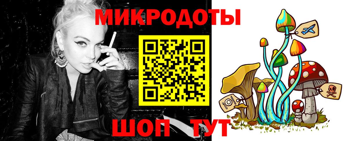 Псилоцибиновые грибы Psilocybe Донецк