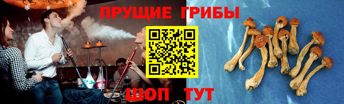 Галлюциногенные грибы ЛСД  Псилоцибиновые грибы мухоморы  Донецк 