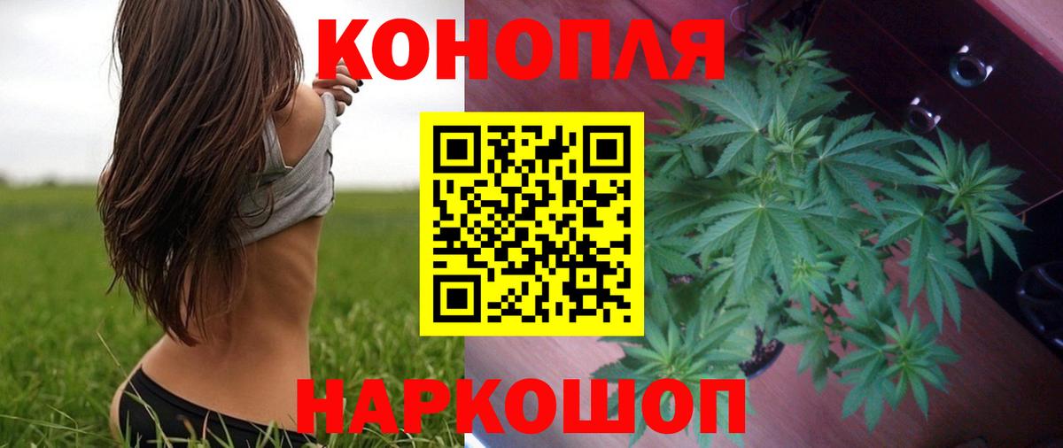 Бошки марихуана марихуана Донецк